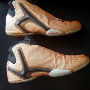 Nike Zoom Hyperflight Lion